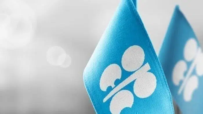 OPEC Is Playing The Long Game